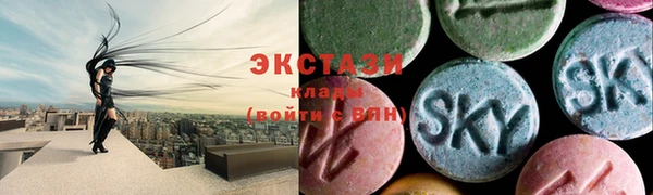 хмурый Верея